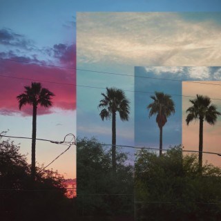 Sunsetting Days
