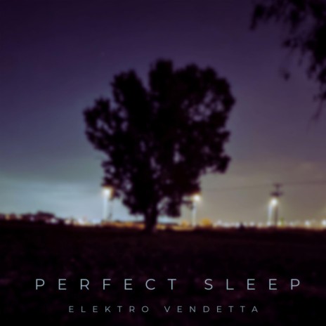 Velvet Carpet cover art