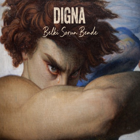 Belki Sorun Bende cover art