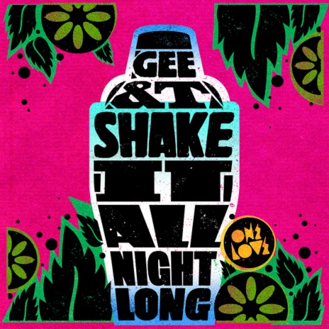 Shake It (All Night Long) (Danny T Remix) cover art