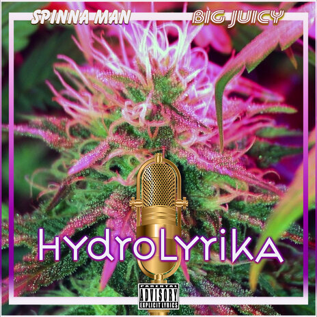 Artillery Shot (Retaliation) ft. Spinna Man cover art