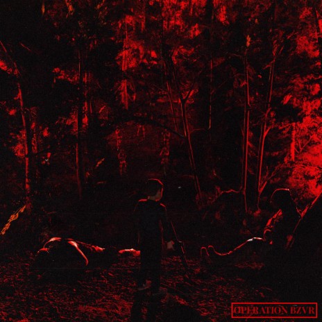 Le petit garçon cover art