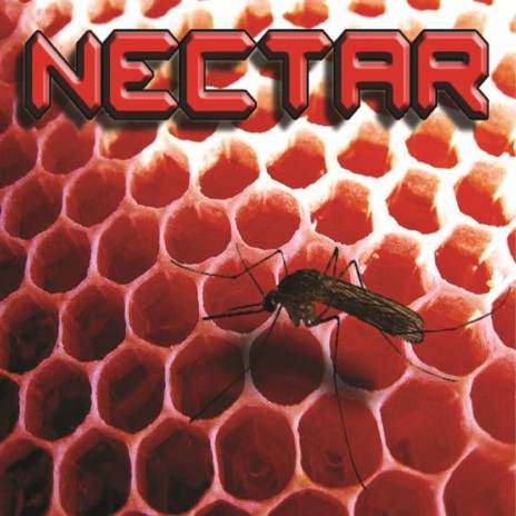 Навсегда cover art