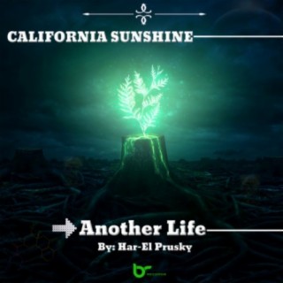 Another Life cover art
