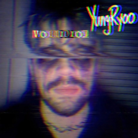 Vollidiot cover art
