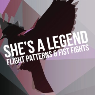 Flight Patterns and Fistfights