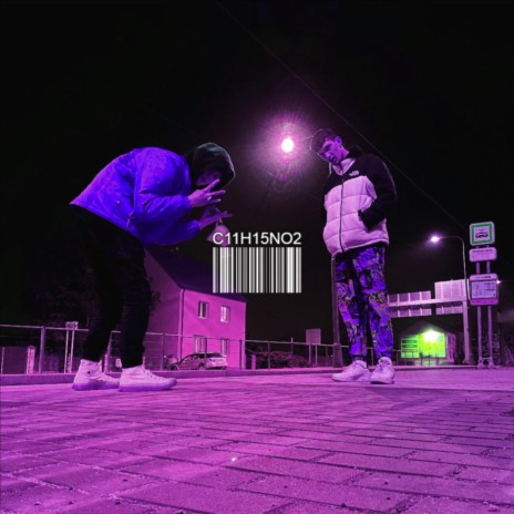 C11H15NO2 ft. FAE ASTER & FAE Entertainment cover art