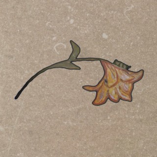 Myelin Tao