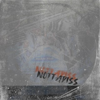 Nottadiss (Radio Edit)