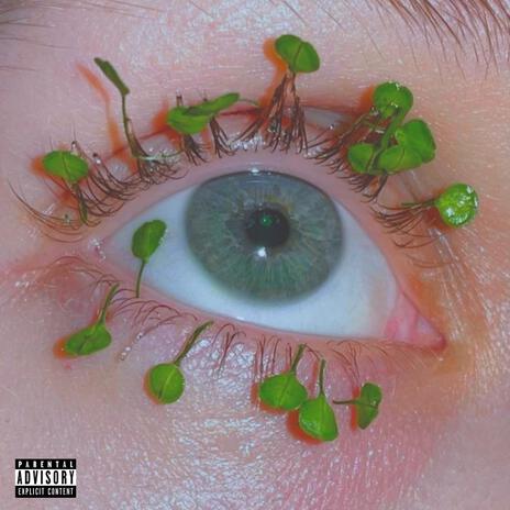 Bandz/planz cover art