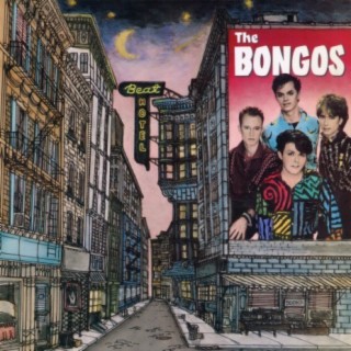 The Bongos