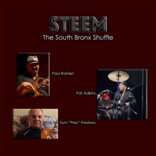 The South Bronx Shuffle cover art