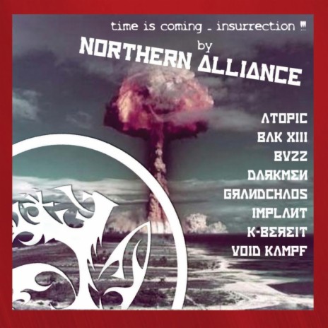 Time Is Coming Insurrection (Void Kampf Remix) cover art