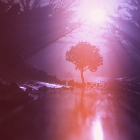 Close cover art