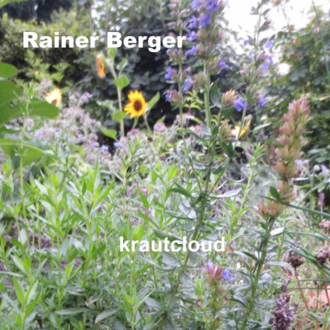 Rück Geblendet cover art