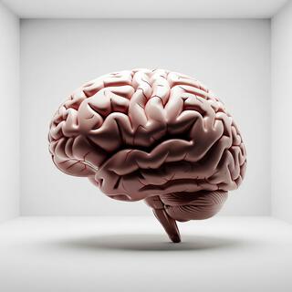 The Experiment - Music For Fragmented Minds, Vol. II