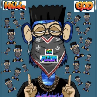Mi Album