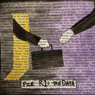 File R1: The Data
