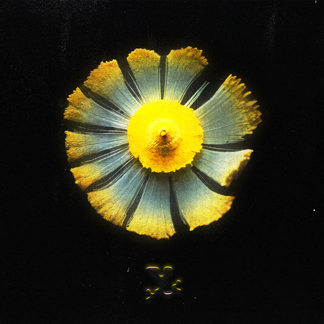 JARDIN SECRET ft. Wlex cover art