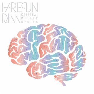 Cerebral Cellar Cycles