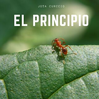 El Principio