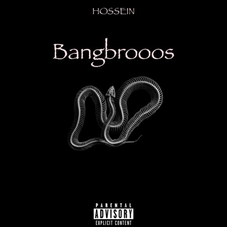 Bangbrooos ft. Young Lovell cover art