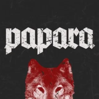 ST. WOLF cover art