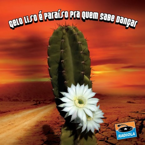 Gelo Liso É Paraíso pra Quem Sabe Dançar cover art