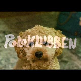 Poloklubben