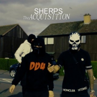 THE ACQUISITION cover art