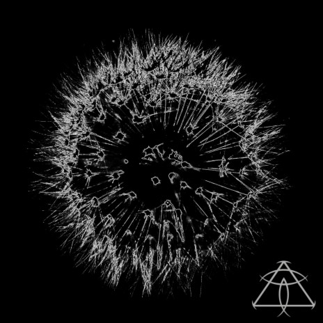 Schen cover art