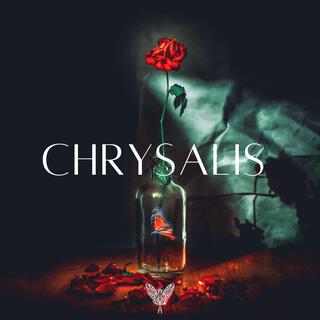 CHRYSALIS