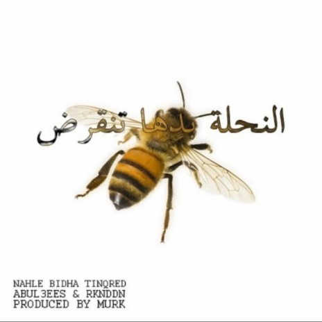 Na7leh ft. Abul3ees & Rknddn