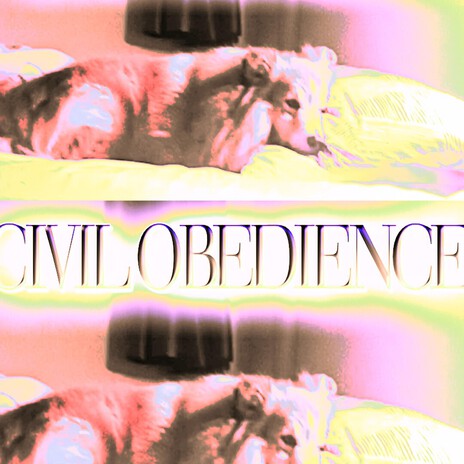 born slipping (the world we were promised) cover art