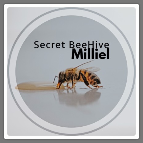 Secret Beehive cover art