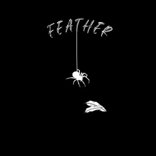 Feather
