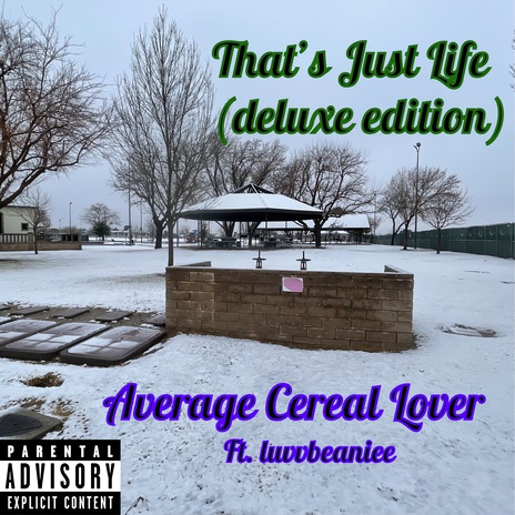 Toilet ft. luvvbeanie cover art