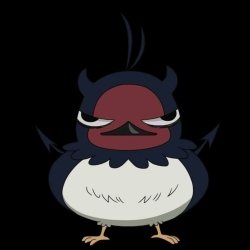 author avatar