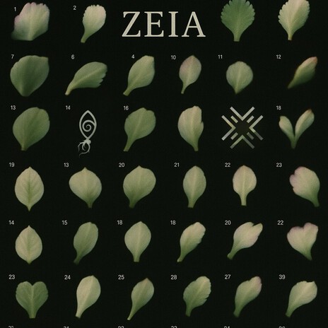 Zeia ft. Plant cover art