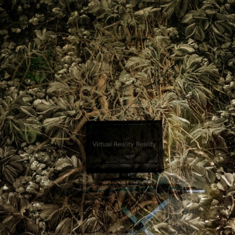 Blank Paper cover art