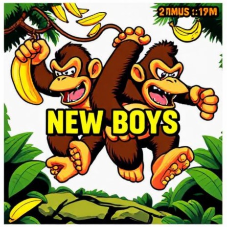 NEW BOYS cover art