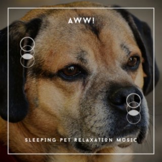 Aww! Sleeping Pet Relaxation Music