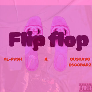YL-FVSH