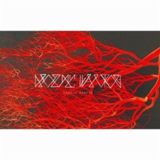 Kozmic Wanton
