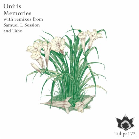 Memories (Taho Remix) cover art