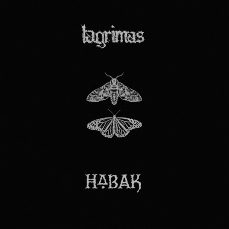 En la huelga de los acontecimientos ft. Habak cover art