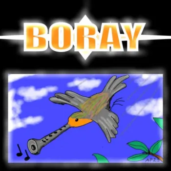 Robin cover art