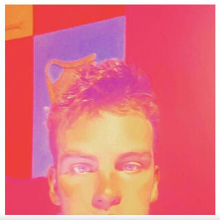 THECRAZYNEVERDIES