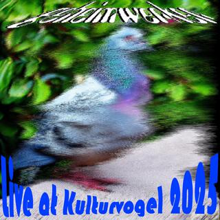 geheimWERKER (Live at Kulturvogel 2025)