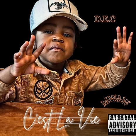 C'est La Vie ft. Baby Dee cover art